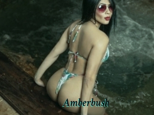 Amberbush