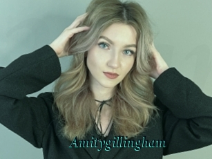Amitygillingham