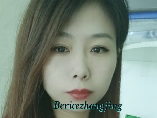 Bericezhangjing