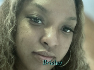 brialuv 2x Arabes Lubriques