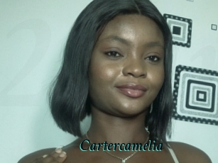Cartercamelia