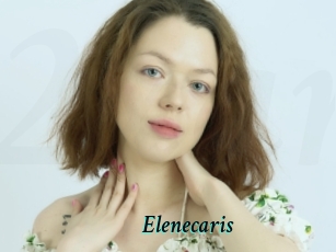 Elenecaris