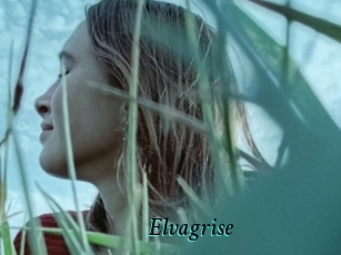 Elvagrise