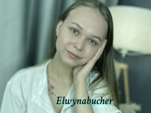 Elwynabucher