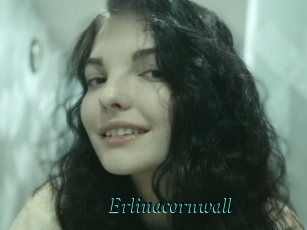 erlinacornwall 2x Arabes Lubriques