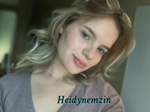 Heidynemzin