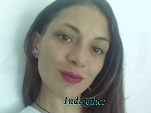 Indigothcc