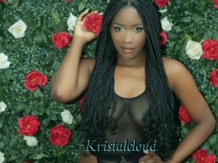 Kristalcloud