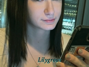 Lilygrows