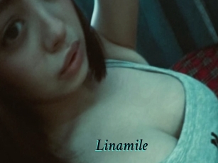linamile 2x Arabes Lubriques