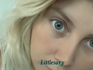 Littlesary