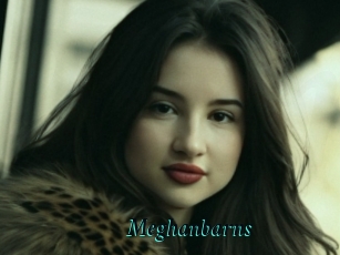 Meghanbarns