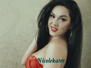 nicolekatee 2x Arabes Lubriques