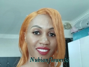 Nubianflower36