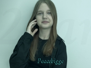Peacebigge