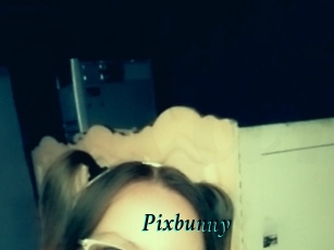 Pixbunny