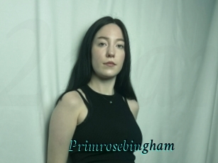 Primrosebingham