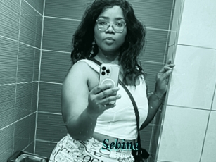 Sebina