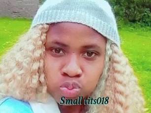 Small_tits018