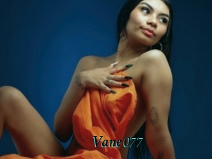 Vane_077